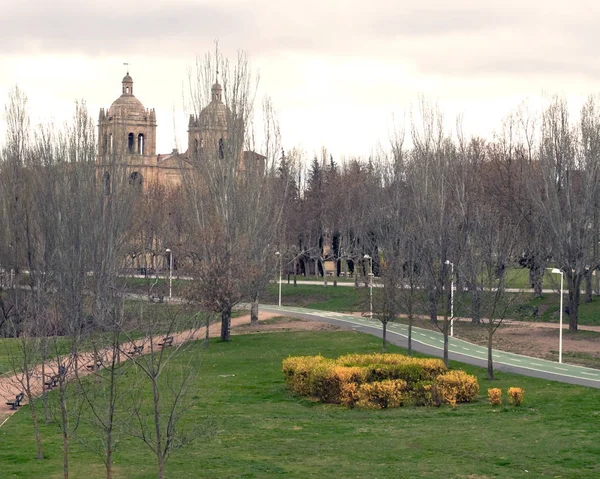 Çiçekler Koltuklarla Içinde Spanyol Şehir Salamanca Katedrali Arka Planda Park — Stok fotoğraf