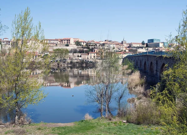 Zamora Vista Cidade Douro Pode Ver Sua Parede — Fotografia de Stock