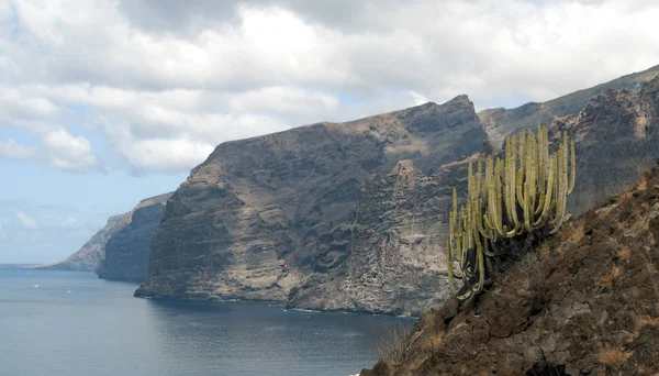 Klippe Der Giganten Auf Der Insel Teneriffa — Stockfoto