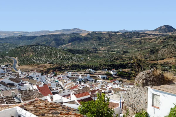 Pueblo Olvera Andalucía — Foto de Stock