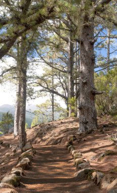 Italica Andalusia içinde Roma kalıntıları