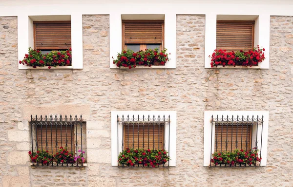 Facciata Vecchio Edificio Con Stemma Diverse Finestre — Foto Stock