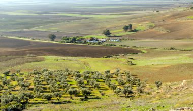 Carmona Andalusia içinde alanlarında