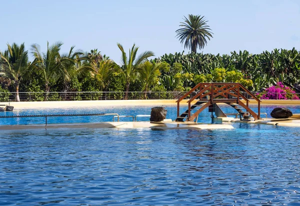 Pools in the water park of Tenerife