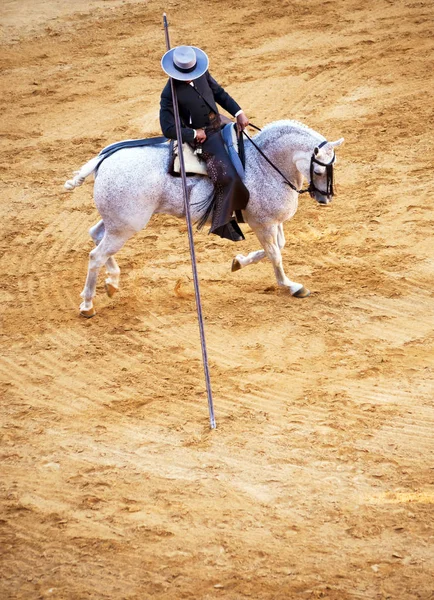 Picador Horseback Long Lance Bullring — Stock Photo, Image