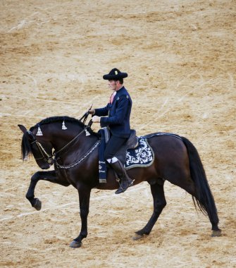 Saf ırk bir siyah at binme geleneksel kıyafet ile giyinmiş binici