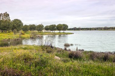 Güneşli bir günde Extremadura 'nın yanındaki Guadiana nehri.