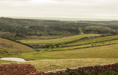 Güneşli bir günde Extremadura alanları