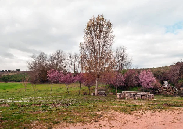 Uruena Felder Valladolid — Stockfoto