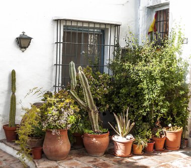 Endülüs 'te Frigiliana adında beyaz duvarlı bir köy.