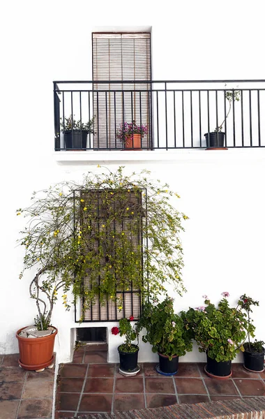 Ventanas Decoradas Con Macetas Una Pared Blanca —  Fotos de Stock