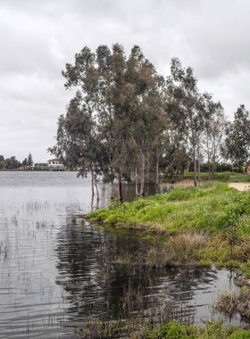 Güneşli bir günde Extremadura 'nın yanındaki Guadiana nehri.