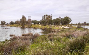 Güneşli bir günde Extremadura 'nın yanındaki Guadiana nehri.