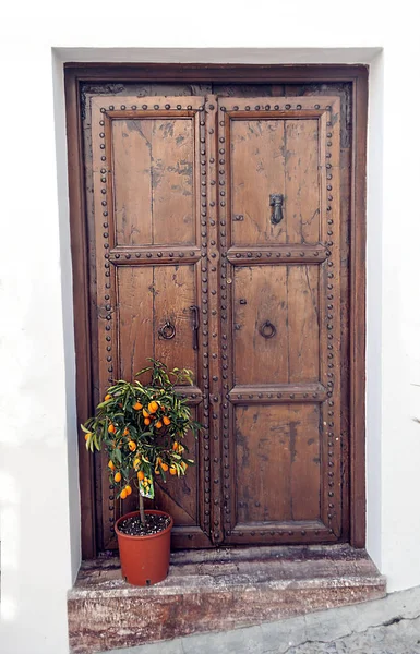 Door Decorated Flower Pots White Wall — Stock Photo, Image