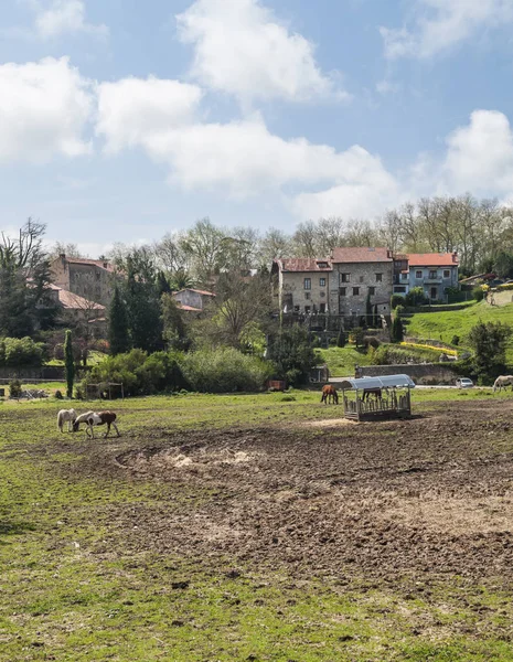 Köy Santillana Del Mar Kuzey Spanya — Stok fotoğraf