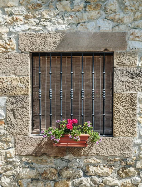 Fasad Med Blomkrukor Fönstren — Stockfoto