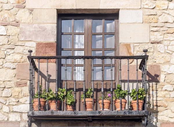 Façade Avec Pots Fleurs Dans Les Fenêtres — Photo