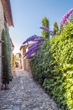 Aragon kuru alanları