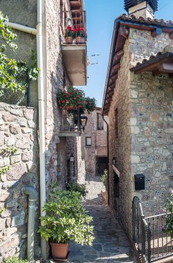 Aragon kuru alanları