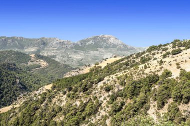 Sierra de Cazorla Andalusia içinde dağlarında