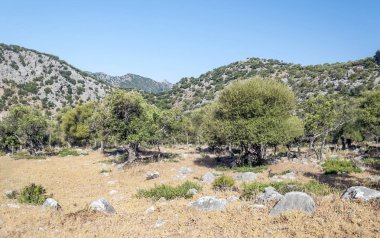 Sierra de Cazorla Andalusia içinde dağlarında