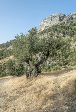 Sierra de Cazorla Andalusia içinde dağlarında