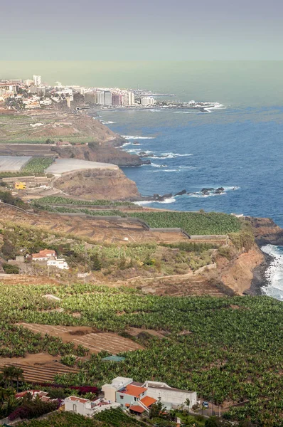 Kust Van Puerto Cruz Het Eiland Tenerife — Stockfoto