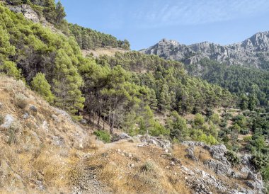 Sierra de Cazorla Andalusia içinde dağlarında