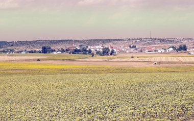 Teruel Albarracin dağlarında