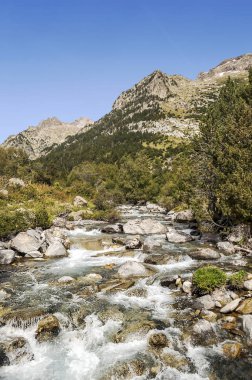 Pirenes dağlarındaki Benasque vadisinde bir nehir.