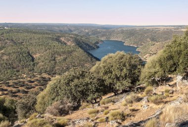 Rio Tajo Monfrague 'ın doğal parkında