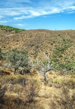 Monfrague 'ın doğal parkındaki dağlar