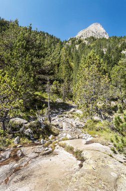 Pireneler 'deki Benasque vadisindeki dağlar
