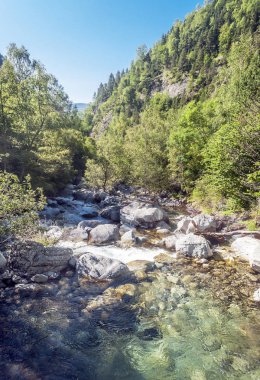 Pirenes dağlarındaki Benasque vadisinde bir nehir.