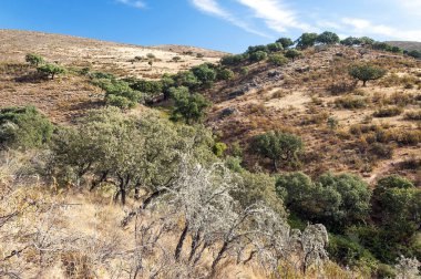 Monfrague 'ın doğal parkındaki dağlar