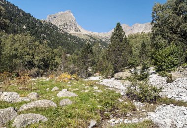 Pireneler 'deki Benasque vadisindeki dağlar