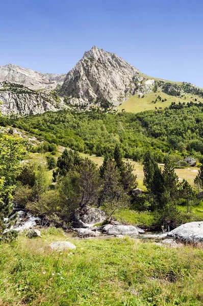 Río Valle Benasque Los Pirineos — Foto de Stock