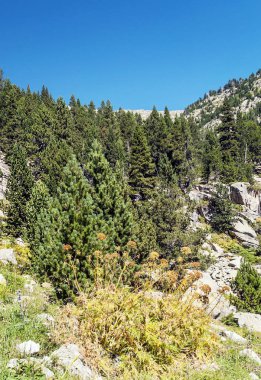 Pireneler 'deki Benasque vadisindeki dağlar
