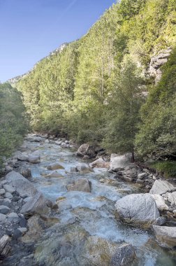 Pirenes dağlarındaki Benasque vadisinde bir nehir.