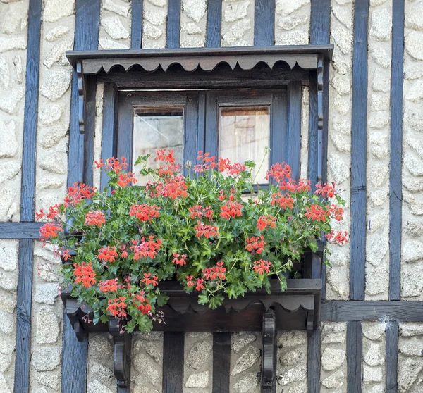 Window Flowers Facade House — Stock Photo, Image