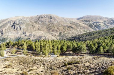 İspanya 'da Sierra Nevada Dağları