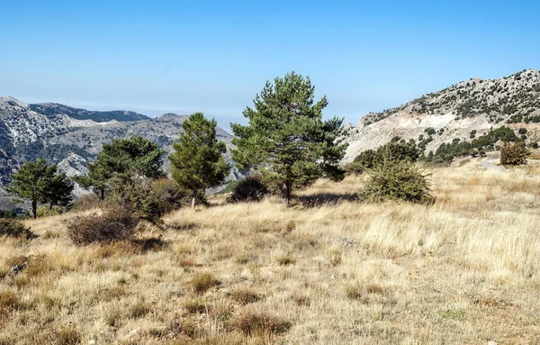 Mountains Sierra Nevada Spain — Stock Photo, Image