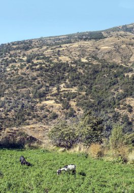 İspanya 'da Sierra Nevada Dağları