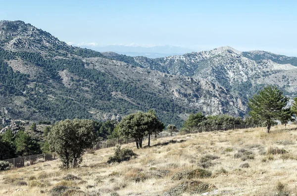 Hory Sierra Nevada Španělsku — Stock fotografie