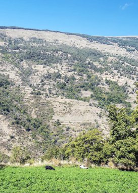 İspanya 'da Sierra Nevada Dağları