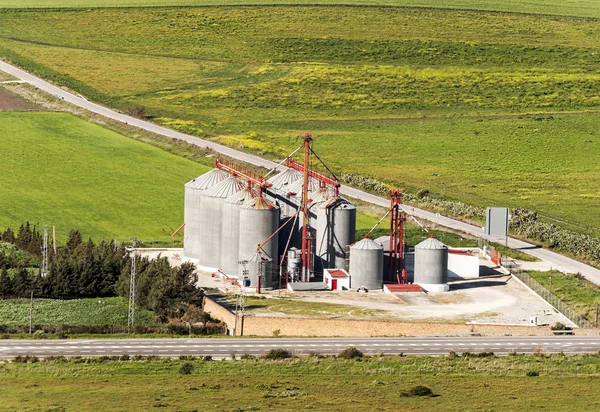 Silos Grãos Cercados Por Campo — Fotografia de Stock