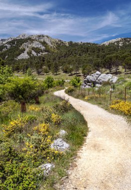Güneşli bir günde İspanya 'da Sierra de Grazalema Dağları