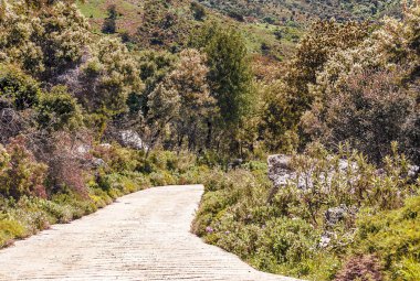 Güneşli bir günde İspanya 'da Sierra de Grazalema Dağları