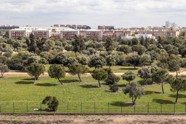 Güney İspanya 'da güneşli bir günde Vejer de la Frontera evleri ve tarlaları