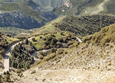 Güneşli bir günde İspanya 'da Sierra de Grazalema Dağları